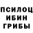Псилоцибиновые грибы мухоморы Rolizy Rayer
