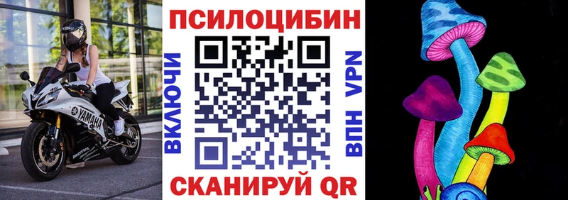 дарк нет наркотические препараты  Завитинск  Галлюциногенные грибы прущие грибы 